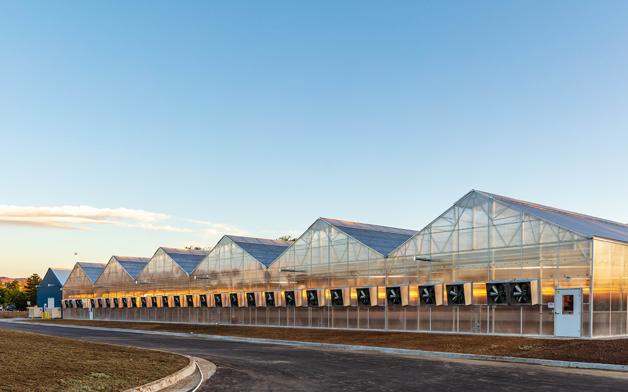 DPS-Greenhouse-4